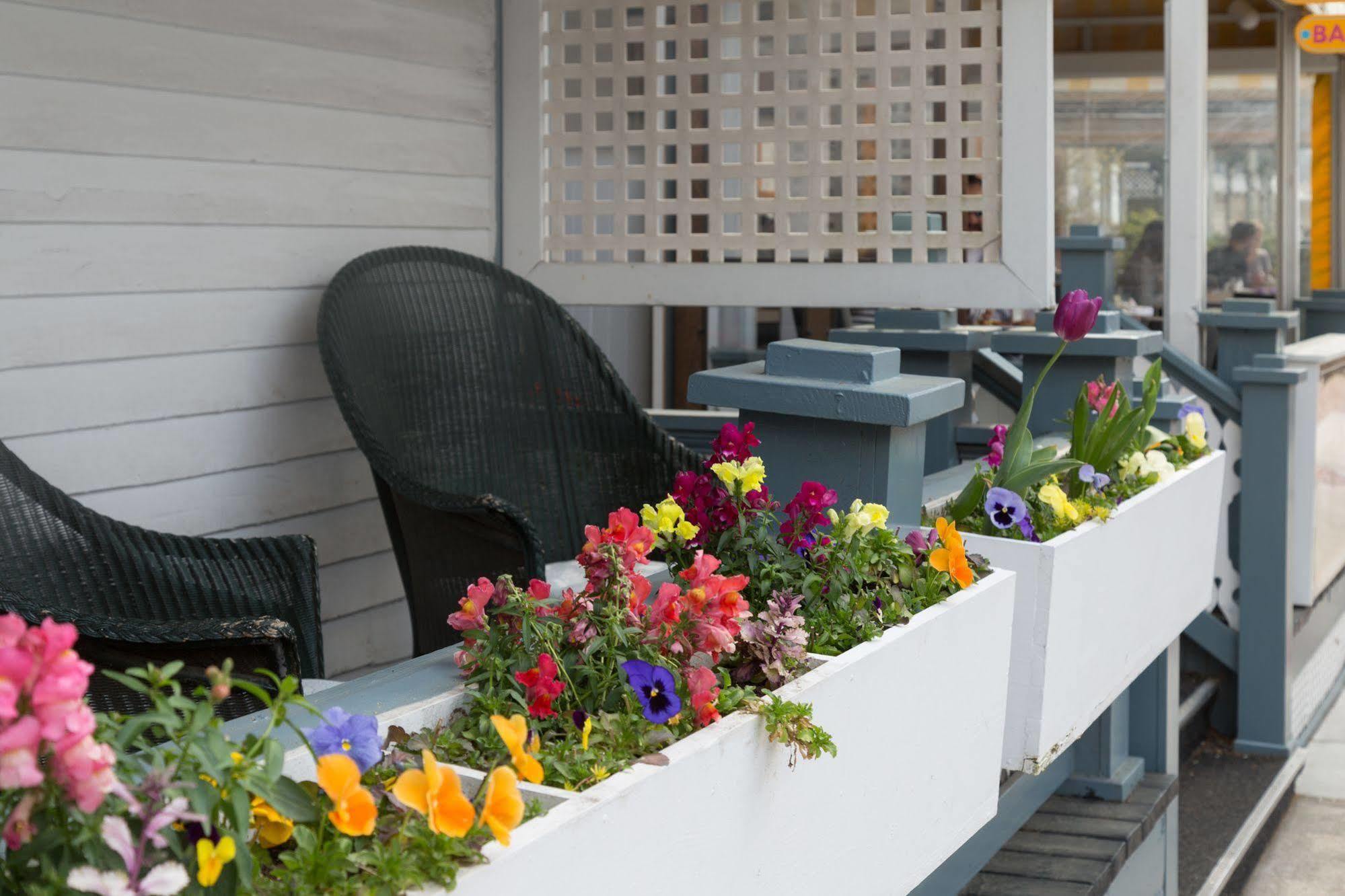 The Carroll Villa Hotel Cape May Exteriör bild